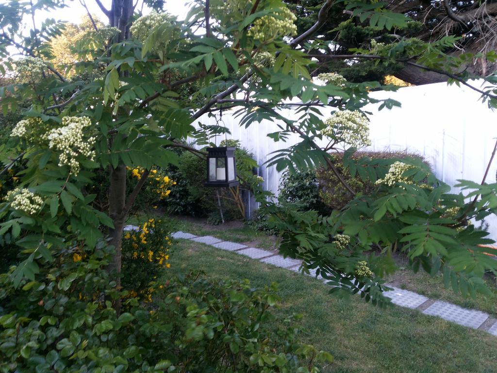Valyak Rent Apart Hotel - Servicios Integrales プンタアレナス 部屋 写真