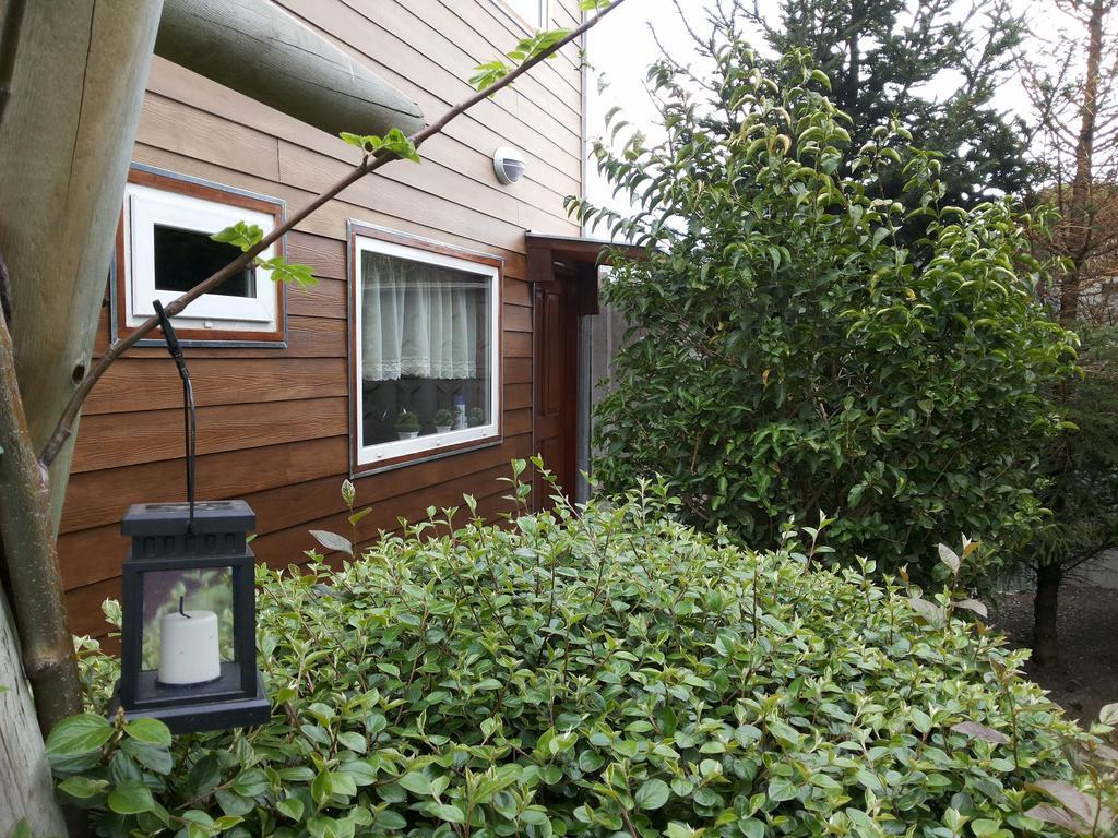 Valyak Rent Apart Hotel - Servicios Integrales プンタアレナス 部屋 写真